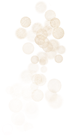 paillettes-small