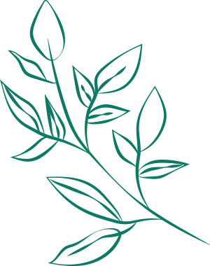 plante1